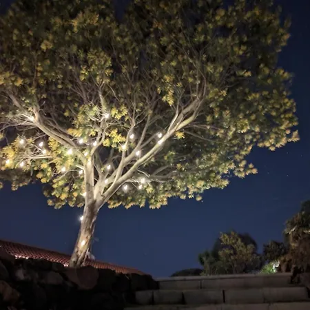 Prázdninový dům La Rotonde - Vue Mer, Jardin, Clim Et Parking Mandelieu